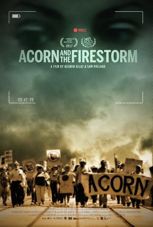 Acorn and the Firestorm