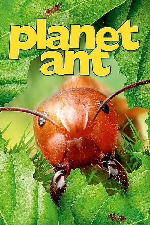 Planet Ant: Life Inside The Colony