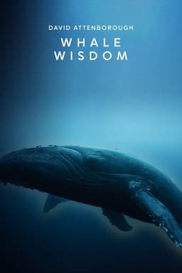 Whale Wisdom