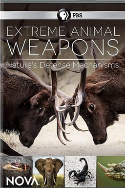 Extreme Animal Weapons