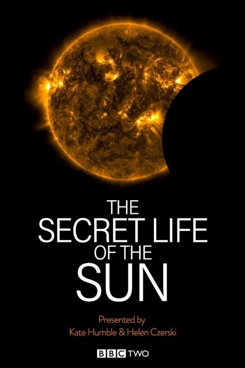 The Secret Life of the Sun