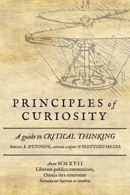 Principles of Curiosity