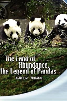 The Land Of Abundance The Legend Of Pandas