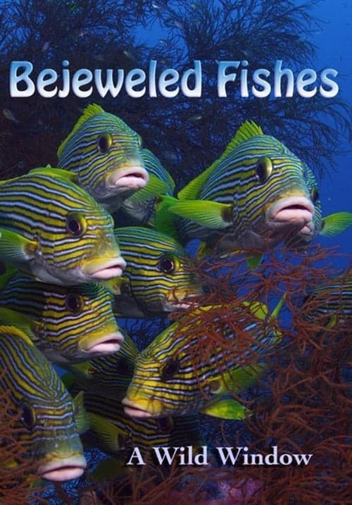 Wild Window: Bejeweled Fishes