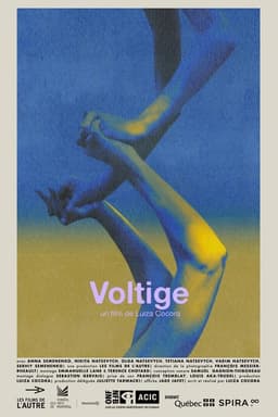 Voltige