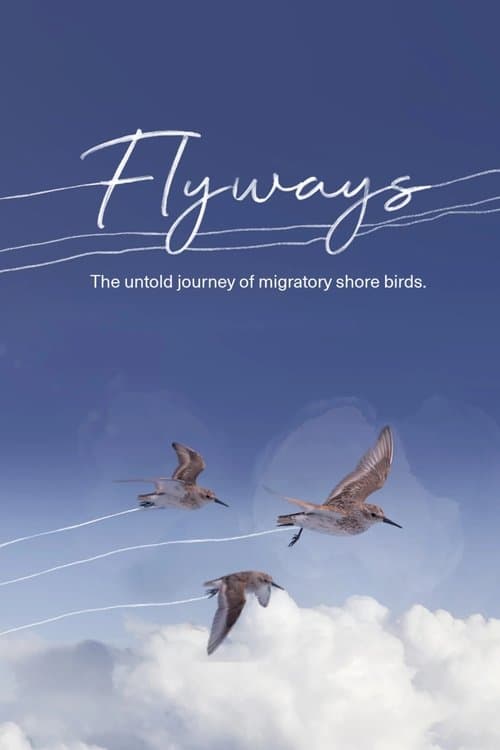 Flyways