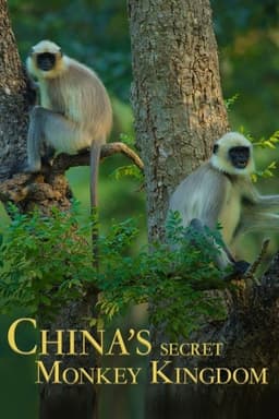 China's Secret Monkey Kingdom