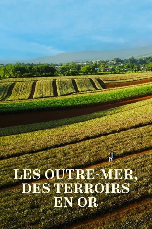 Les Outre-mer, des terroirs en or