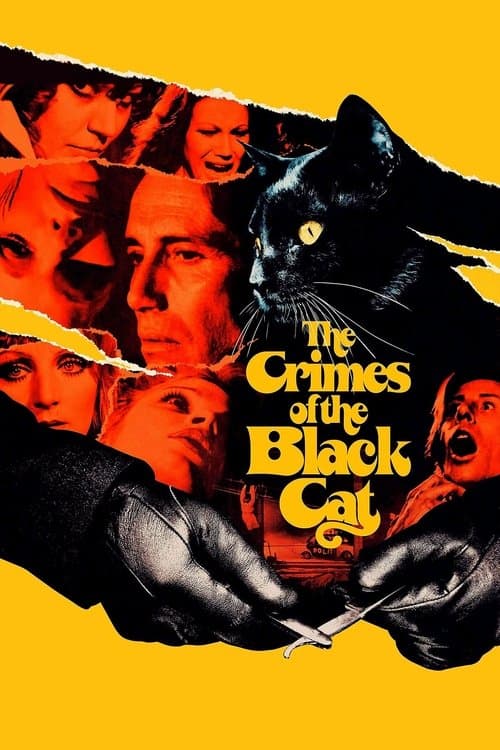 The Crimes of the Black Cat