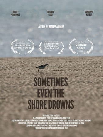Sometimes Even the Shore Drowns