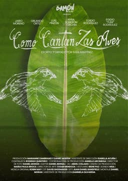Como Cantan Las Aves