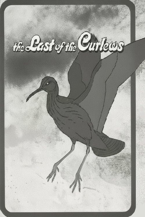 The Last of the Curlews
